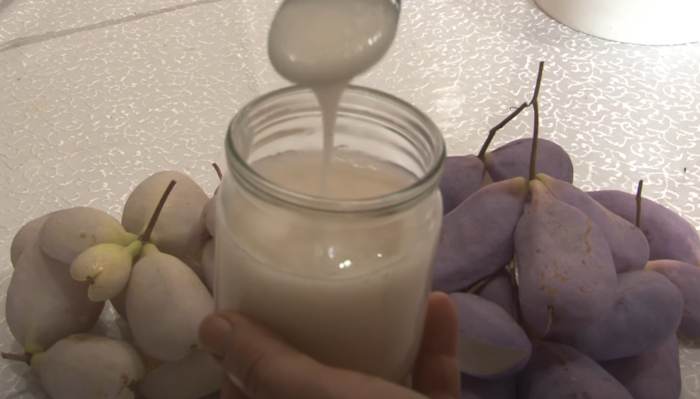 Неймовірний сироп із акебії зібрав В'ячеслав Францішко